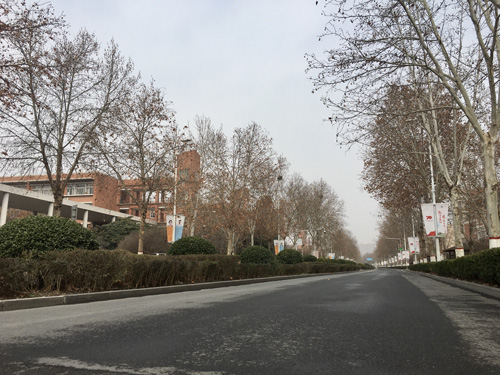 疫在当下，静谧校园；山桃静迎春，玉兰默逐妍……
